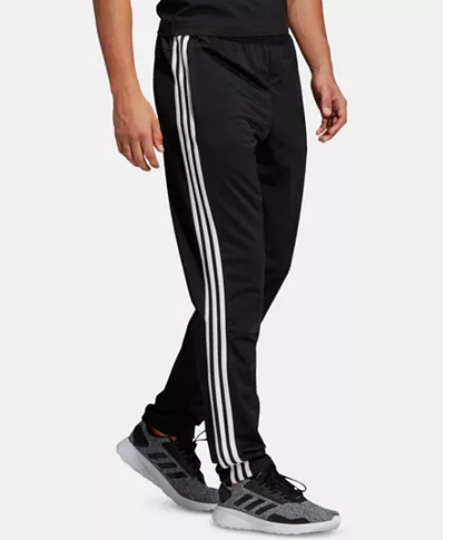 adidas pants macy's