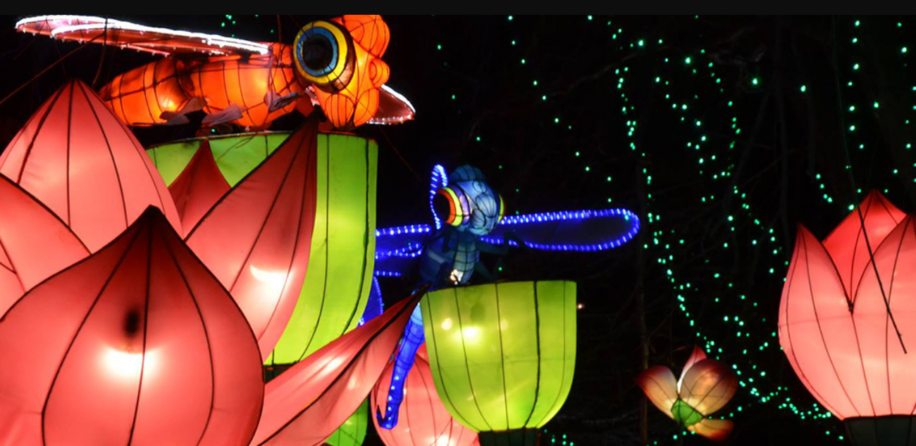 groupon chinese lantern festival