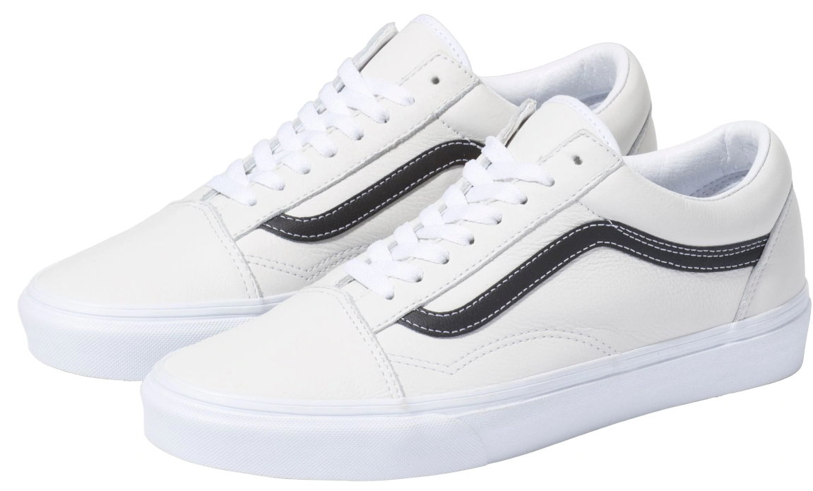 dick's sporting goods vans